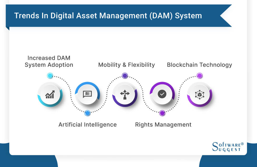 20 Best Digital Asset Management (DAM) Software In 2024